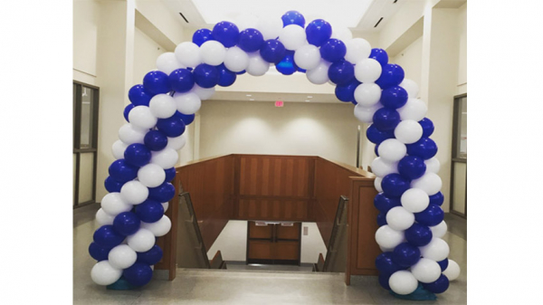 Continuous Curve Balloon Arch ( Basic )