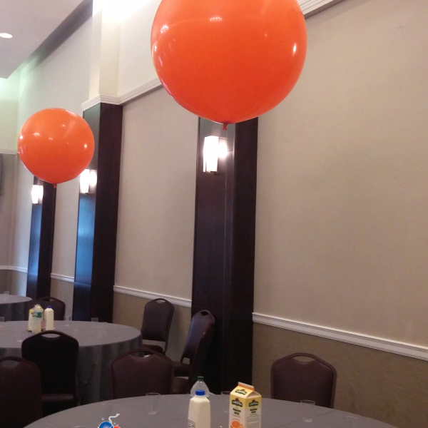 60cm Plain Colour Premium Latex Balloon with Helium & Weight