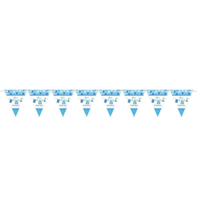 Shower with Love Boy Pennant Banner