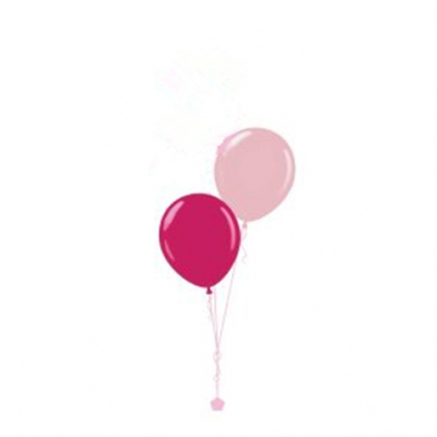 Plain Colour Helium Balloon Bouquests 2 Balloons